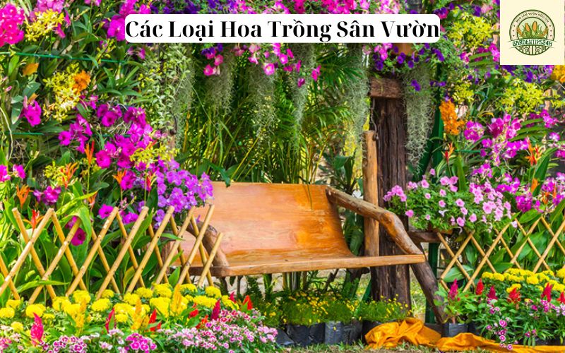 Các Loại Hoa Trồng Sân Vườn