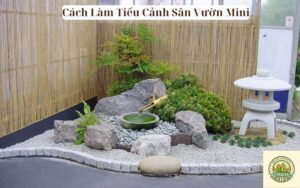 Cách Làm Tiểu Cảnh Sân Vườn Mini