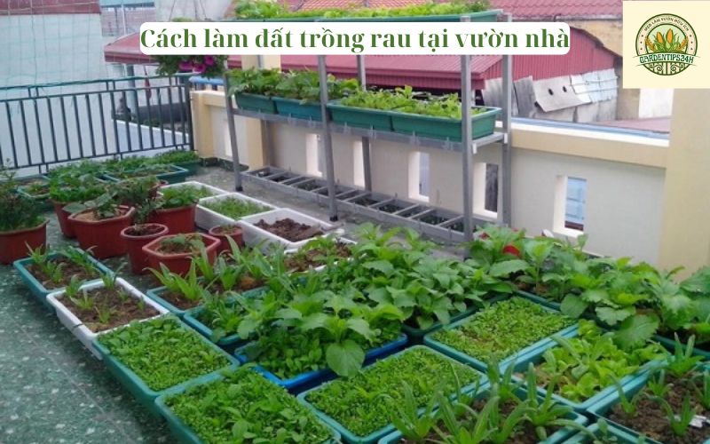 Cách làm đất trồng rau tại vườn nhà