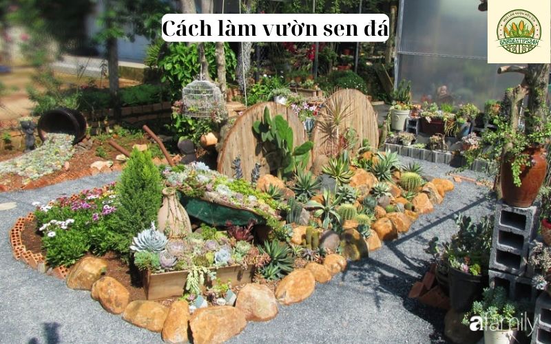 Cách Làm Vườn Sen Đá