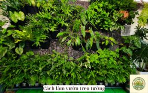 Cách làm vườn treo tường