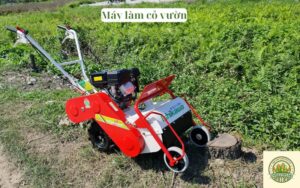 Máy làm cỏ vườn